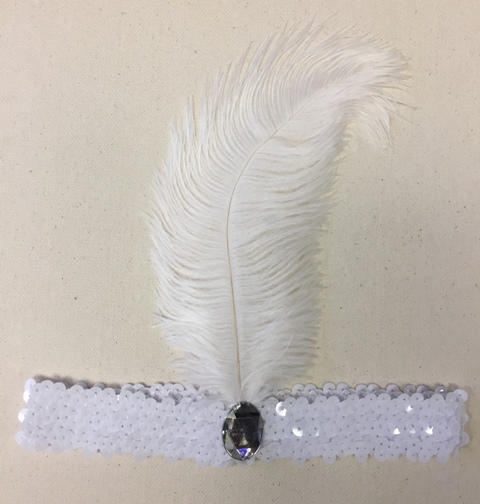 Feather Headbands